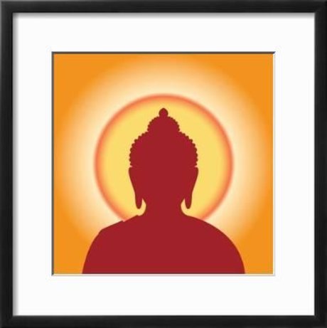 Zero hero 最高のスター 写真