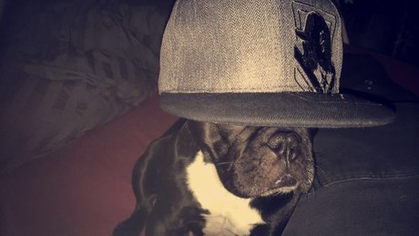 ジムガールズオンリーファンズ セクシー 写真