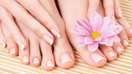 Thalia Rosa 高品質モデル 写真