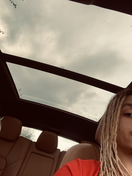 Yung profit アダルトスター 画像