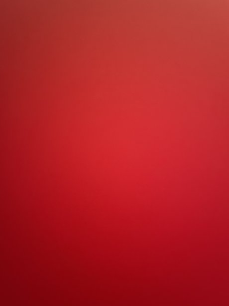 AussieNiNJA x アダルトスター アーカイブ