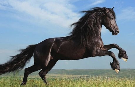 BBCシャワーオンリーファンズ アート裸 写真