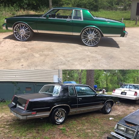 Yungplayafly 高品質モデル 写真