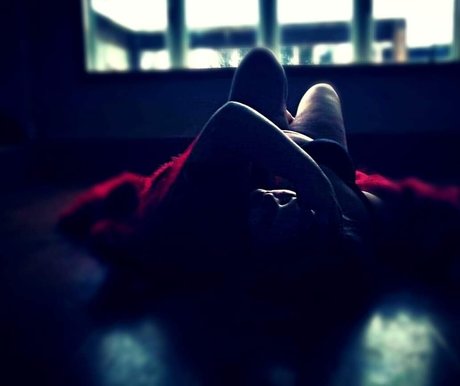 Sugar panda 完璧なスター 画像