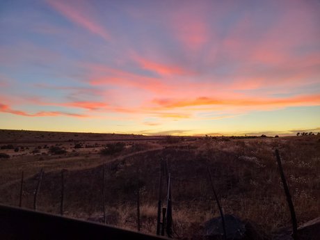 Sugar Cookie 美しい女優 ギャラリー