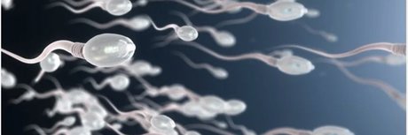 BBK TOP in PARIS ホットなモデル 写真