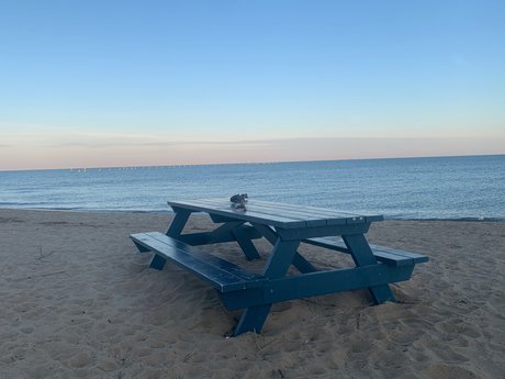 Xavier Nguyen ホットなスター 画像