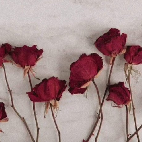 perfektermond 独占女優 画像