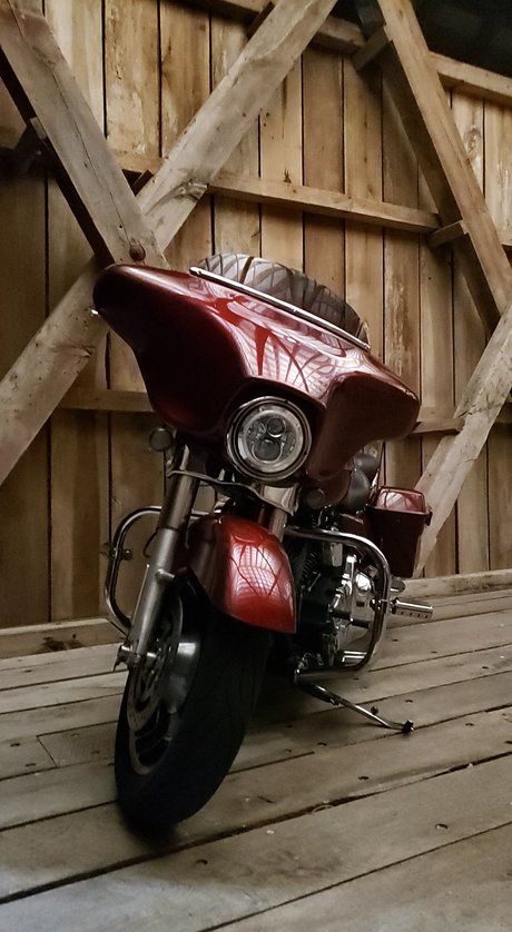 Olivia Cheesecake 完璧なモデル 写真