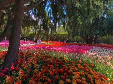 足 熟女 オンリーファンズ ポルノグラフィック 写真