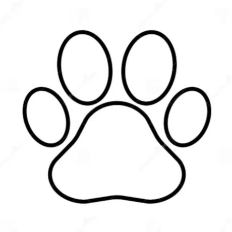 Pa Prince 女優 写真