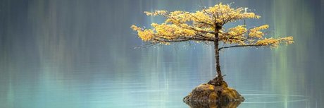 u21504771 セクシーなスター 画像