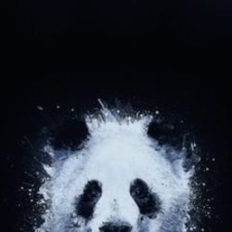 Happy Mod 女優 写真