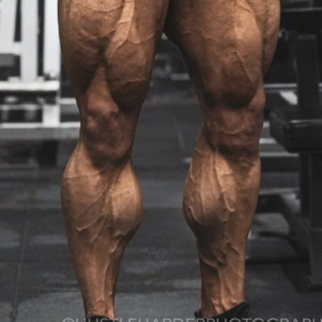 King Calves_ ポルノスター ヌード 写真