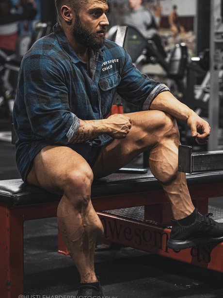 King Calves_ 無料のポルノスター ギャラリー