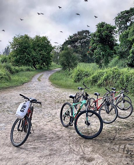 u121435665 高品質のスター 写真