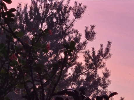 Najwi kszy Fan 裸の女優 画像