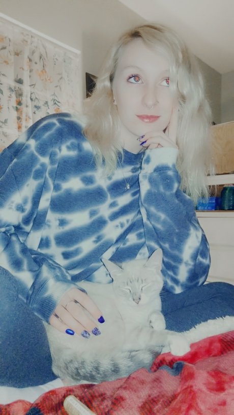 Kaysey 無料スター 写真