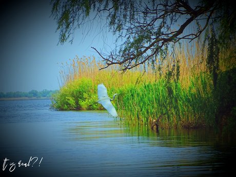 It is real_ アダルトモデル 写真