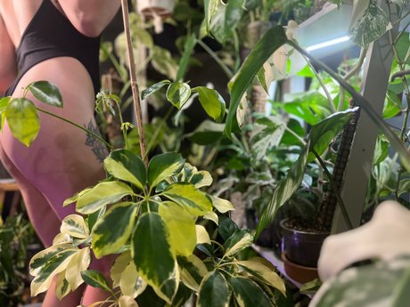 plantfeetpics 裸のポルノスター 写真