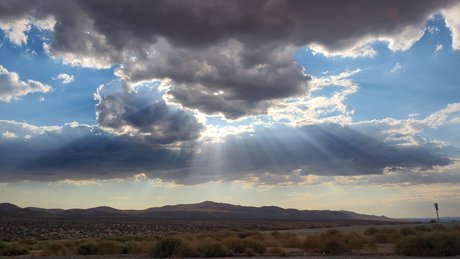 Papi Paul xxxモデル アーカイブ