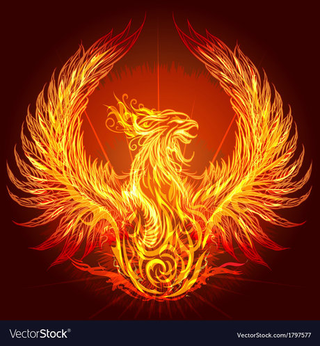 The Dark Bird of Light 美しい女優 ギャラリー