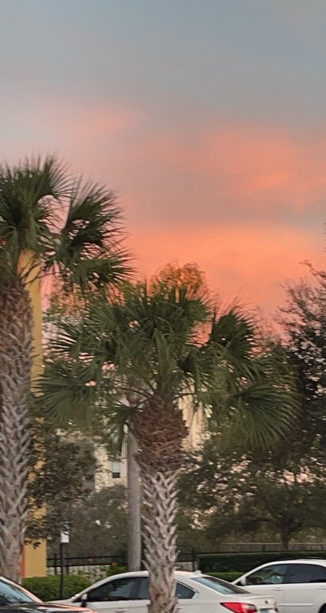 BBCオーガズムオンリーファンズ アートヌード 写真