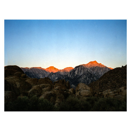 Matt Wolfe ポルノスター 独占 画像