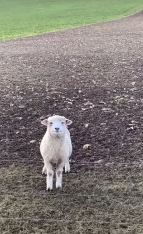 john 最高のモデル 写真