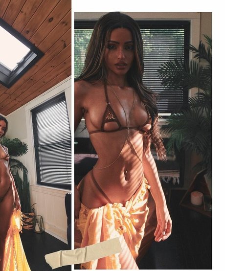 Jayecarrero 最高のスター ギャラリー