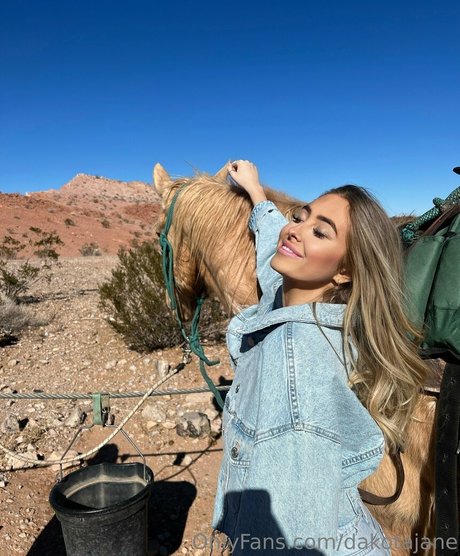 DakotaJane ホットスター 画像