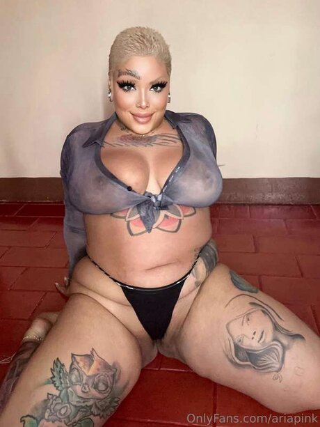 ariapink ポルノスター 裸 画像