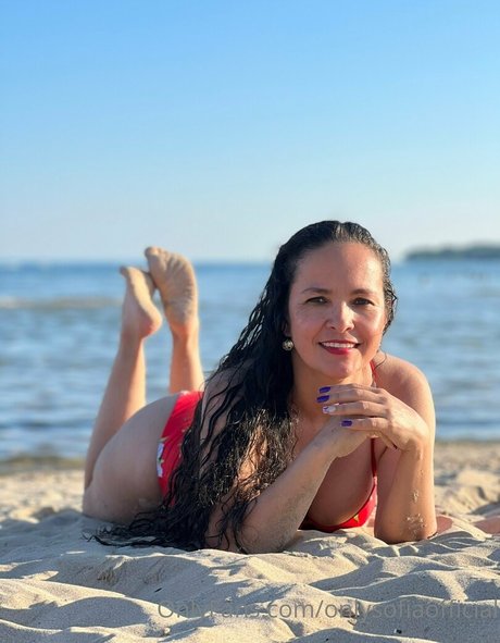 獣医オンリーファンズ 無料アダルト 画像