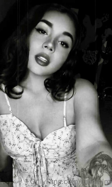 littlelolm ポルノスター アート 写真