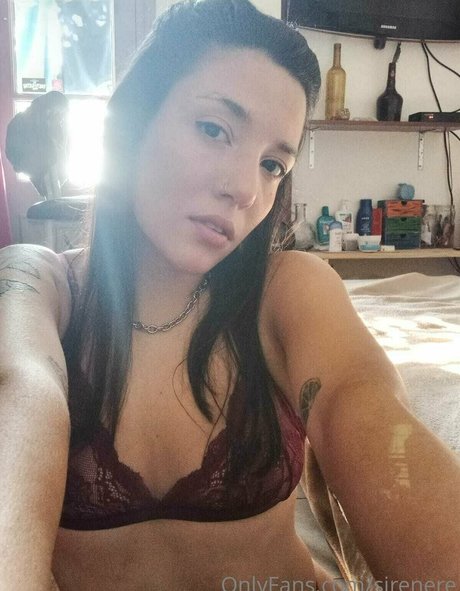 sirenere アートモデル 画像