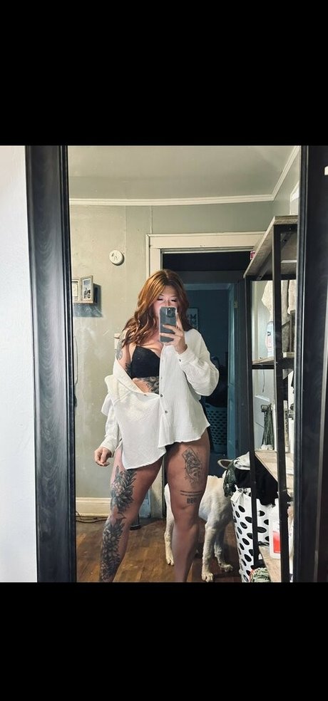 Lexafrex スター 写真