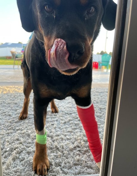 mfccammodel HDモデル ギャラリー