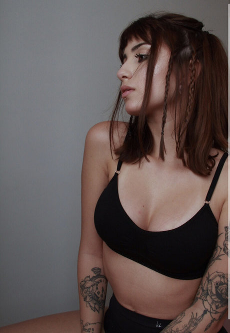 Taiga Tondorf HDモデル 写真