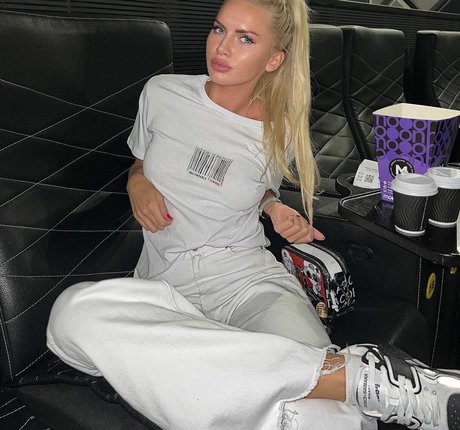 dash a 素敵なスター 写真