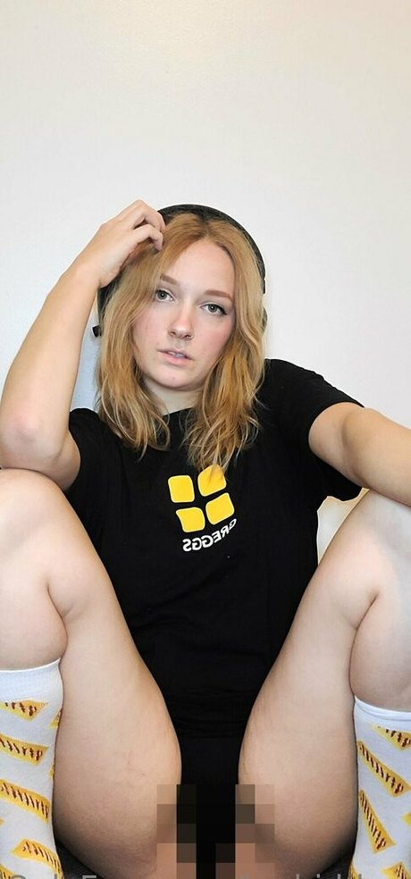 Tashidden トップ女優 写真