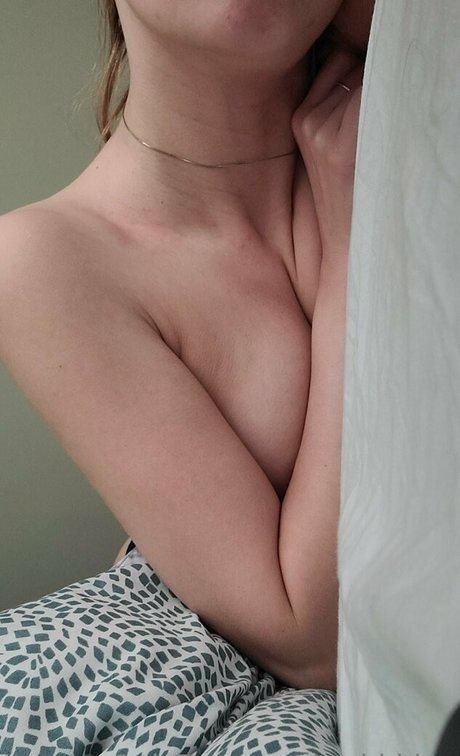 Tashidden 完璧なポルノスター 画像