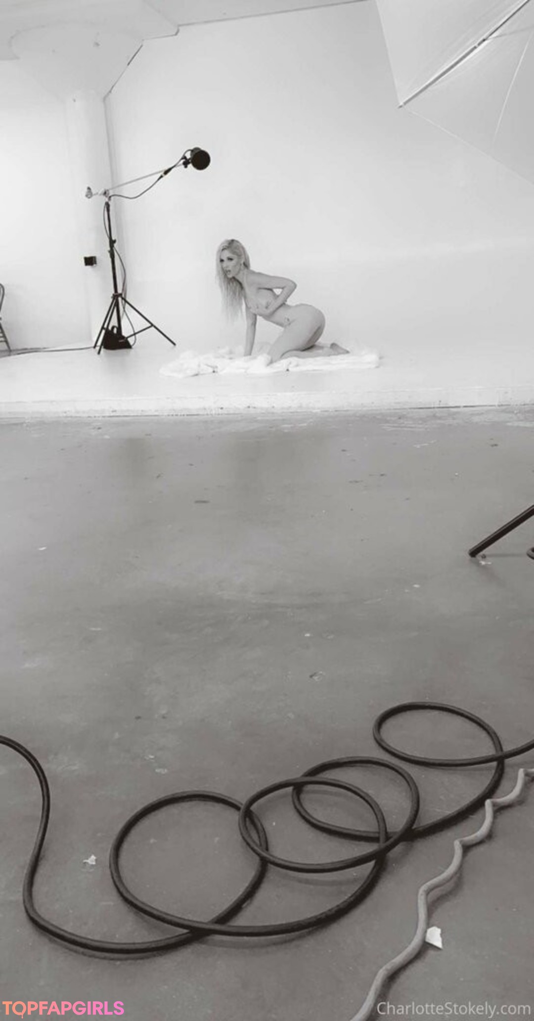 char stokely アートモデル ギャラリー