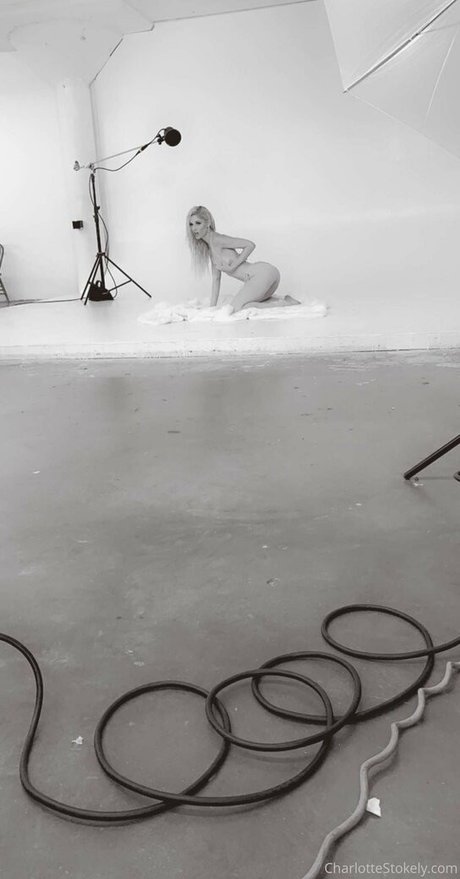 char stokely アートモデル ギャラリー