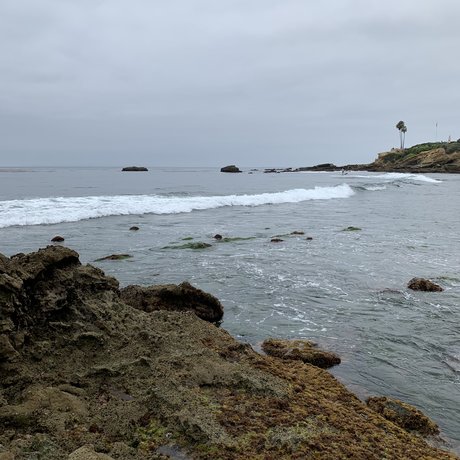 Stella St Clair ヌードモデル アーカイブ