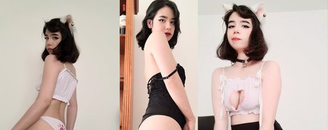 Kitsune HDモデル 画像