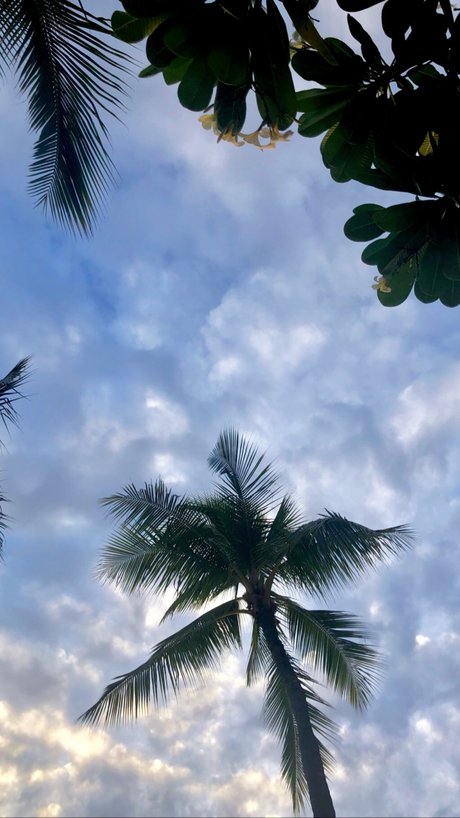 Kendall Kate スター ヌード アーカイブ