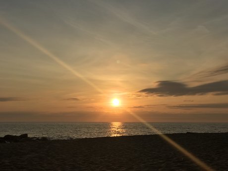 Georgia Love ポルノスター 独占 アーカイブ