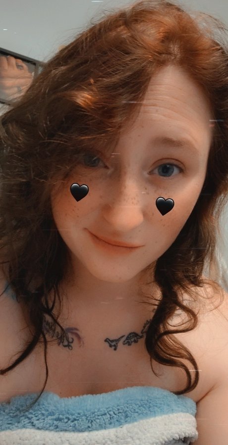 Sible 素敵なスター 写真