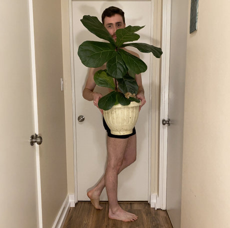 Fiig 完璧な女優 ギャラリー