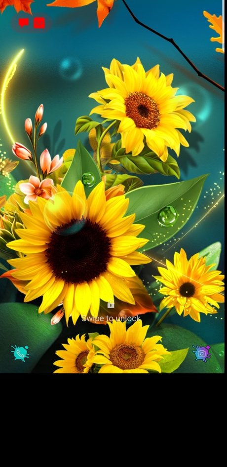 Queenmercy ポルノスター セクシー アーカイブ